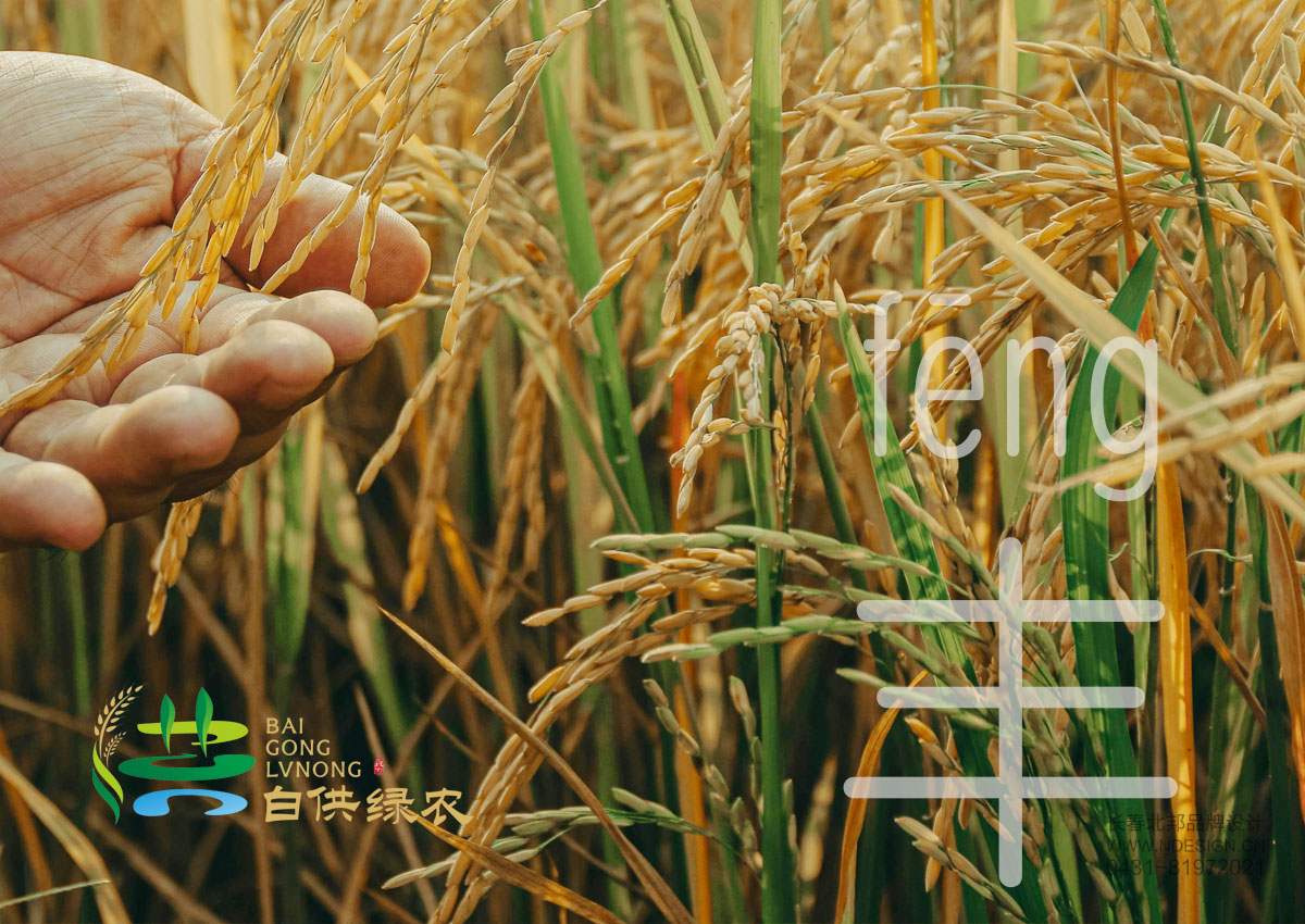 綠色品牌設(shè)計(jì),農(nóng)業(yè)品牌設(shè)計(jì),公共品牌設(shè)計(jì),公共品牌注冊